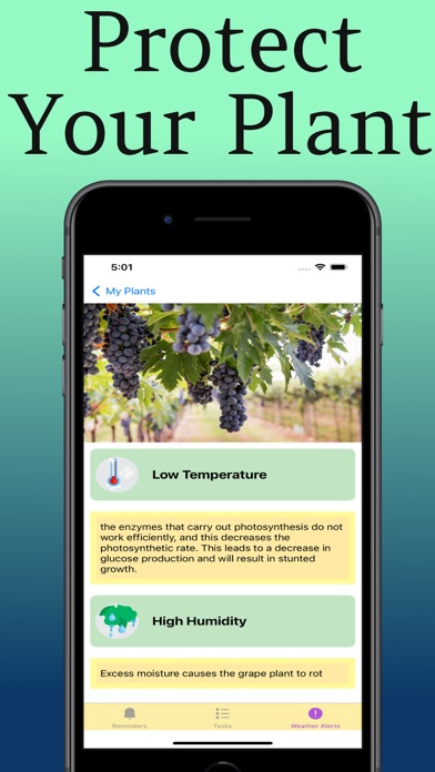 Plant Care: Guide & Tips Screenshots