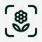 Planto: Plant Identifier