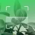 Identify trees - Plant finder