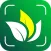 AI Plant Identifier: Flower ID