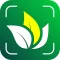 AI Plant Identifier: Flower ID