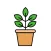 Plant Parenthood