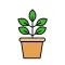 Plant Parenthood