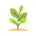 Planty: Water plant
