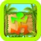 Ninja Jump Game