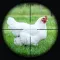 Chicken Shoot Safari Hunting