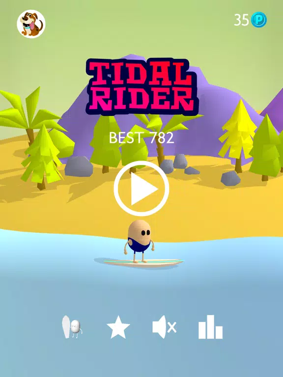 تصاویر Tidal Rider iPad 