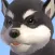Malamute - Animated Puppy Stickers