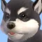Malamute - Animated Puppy Stickers