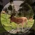Deer Hunting : Sniper Shooter