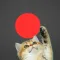 Classic Red Dot