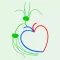 Atlas of lymphatics for iPhone