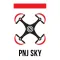 PNJ SKY