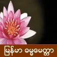 Myanmar Dhammamittar
