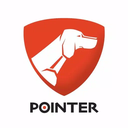 Pointer Manager Brazil Pointer Manager Brazil