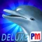 Dolphins Dice Slots Deluxe