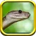 Snake Rampage - Snake Simulator