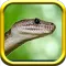 Snake Rampage - Snake Simulator