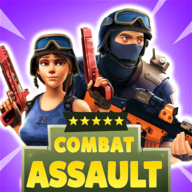 Combat Assault Combat Assault