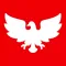 Donald Trump - Social & News