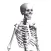 Skeleton Party