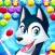 Pop Dog Bubble Shooter
