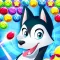 Pop Dog Bubble Shooter