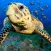 Popar Sea Life