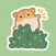 Leafy Parcels