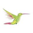PosBill Mobile - mobile Erweit