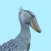 Shoebill
