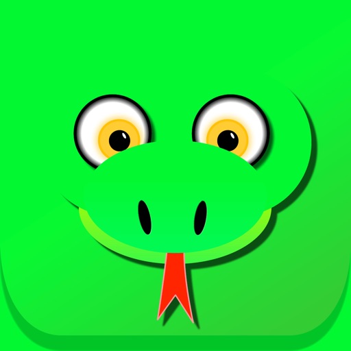 Snake 2 - Rainbow Worm Snake 2 - Rainbow Worm