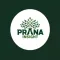 Prana Insight