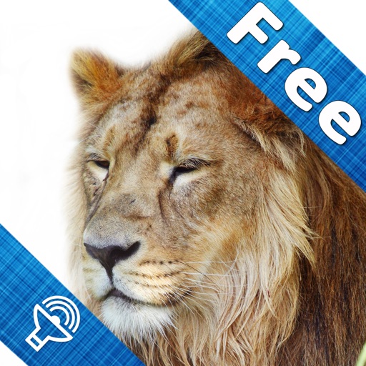 Animal sounds and pictures, hear jungle sound in Kids zoo, Petting zoo with real images and sound Animal sounds and pictures, hear jungle sound in Kids zoo, Petting zoo with real images and sound