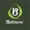 Balluarte