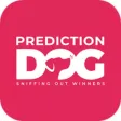 Prediction Dog Sports