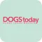 DOGStoday Magazin
