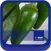 BASF México - Cultivo del Chile