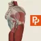Hip: 3D Real-time