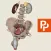 Male Pelvis: 3D Real-time