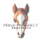 Prime Prospect Horses