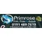 Primrose Chippy