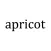APRICOT POSTVENTA