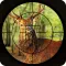 Safari Animal hunting 2016 – deer, bear and fox shooting game to increase the shooting level.