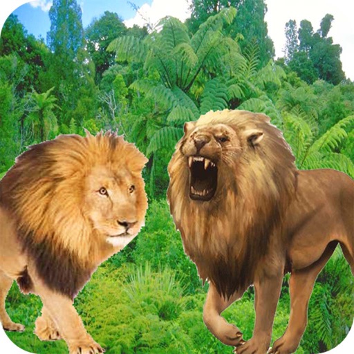 Animals Fighting War Animals Fighting War