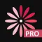 WomanLog Pro Calendar
