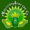 Houston Avocado