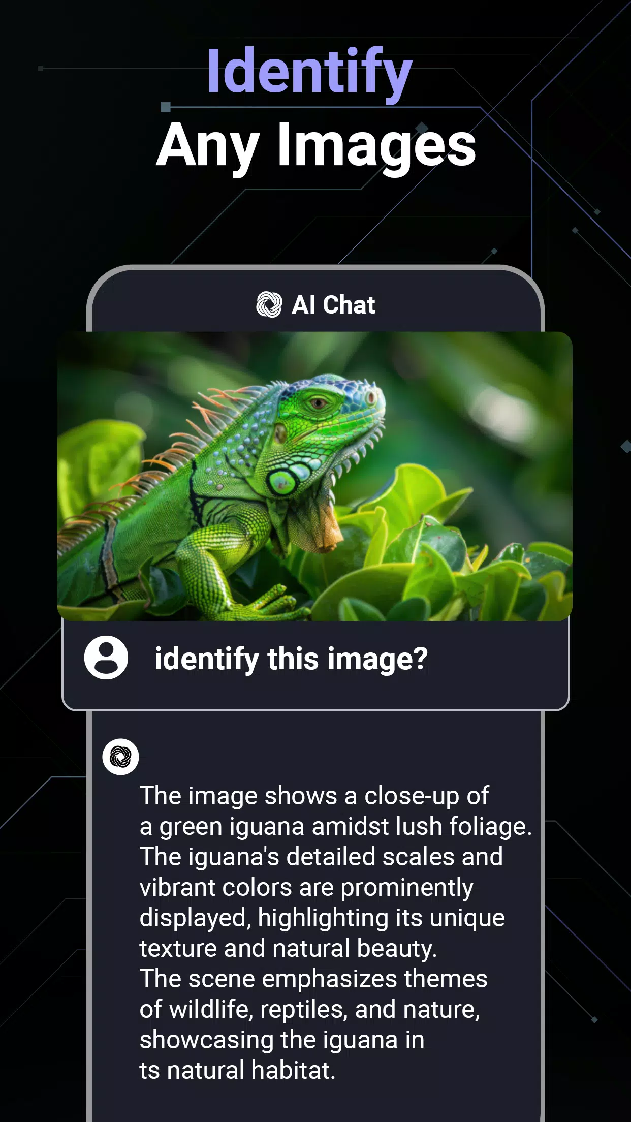 AI Chat Screenshots