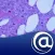 Multiple Myeloma [MM]