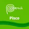 Pisco